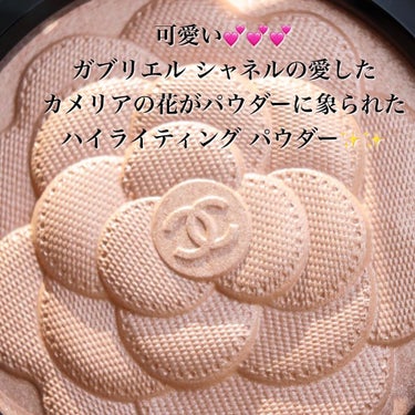 スティロ ルミエール ルガール 557 エクラ/CHANEL/リキッドアイシャドウの画像