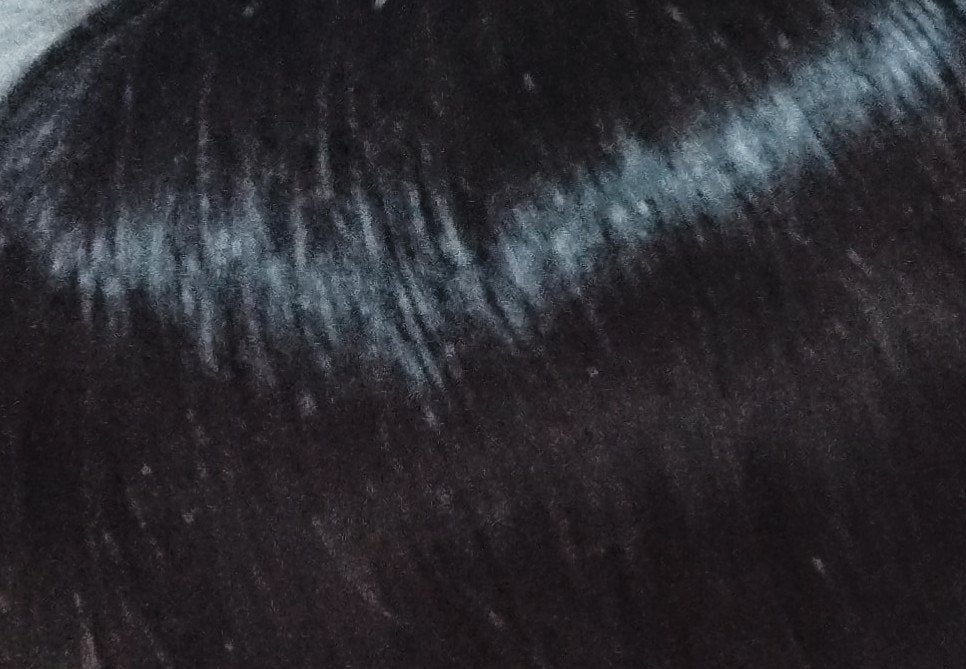 ツヤカラーコントロール シャンプー/ ヘアトリートメント/Number.S /市販シャンプーを使ったクチコミ(5枚目)