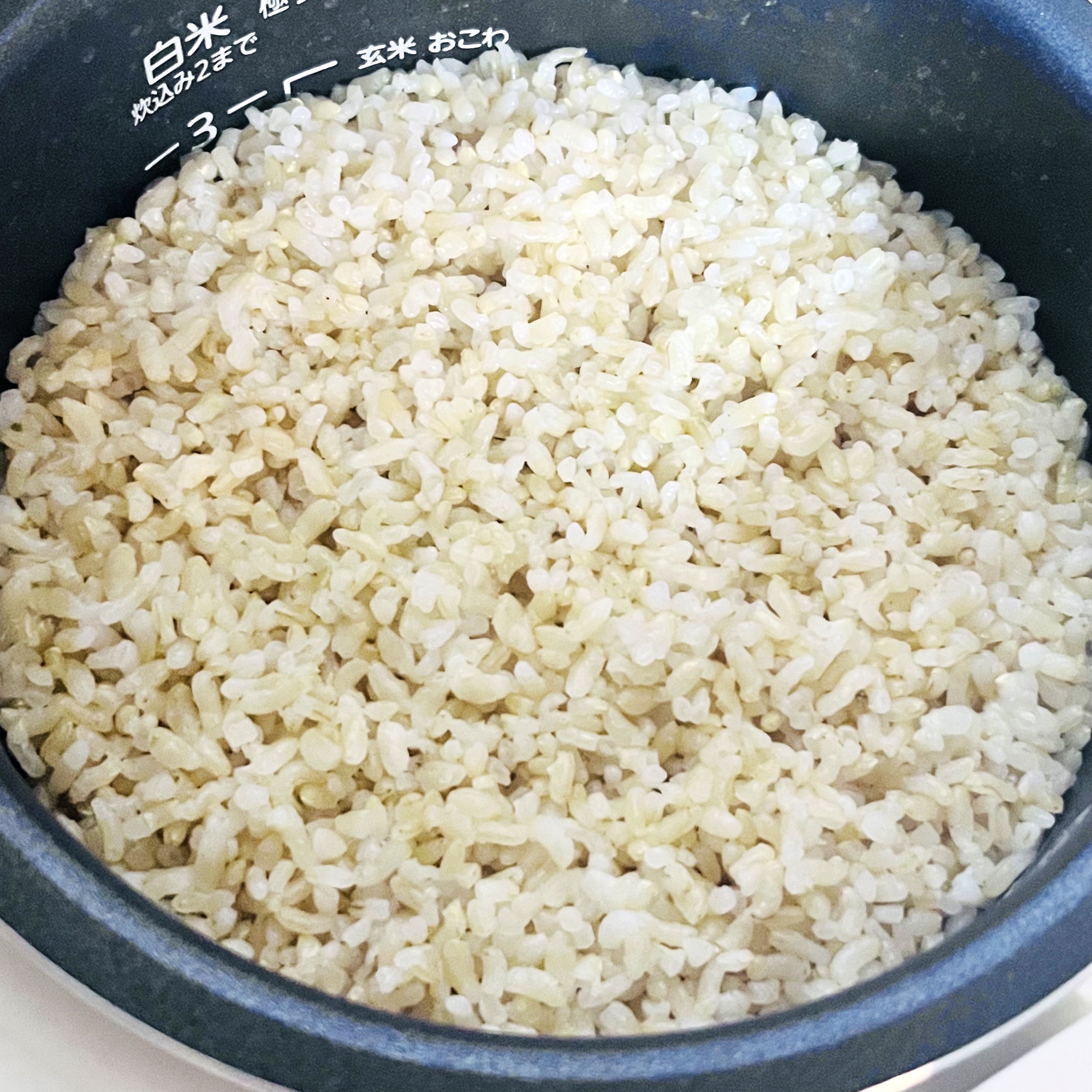 つきあかり　玄米/グレイス/バランス栄養食を使ったクチコミ（3枚目）