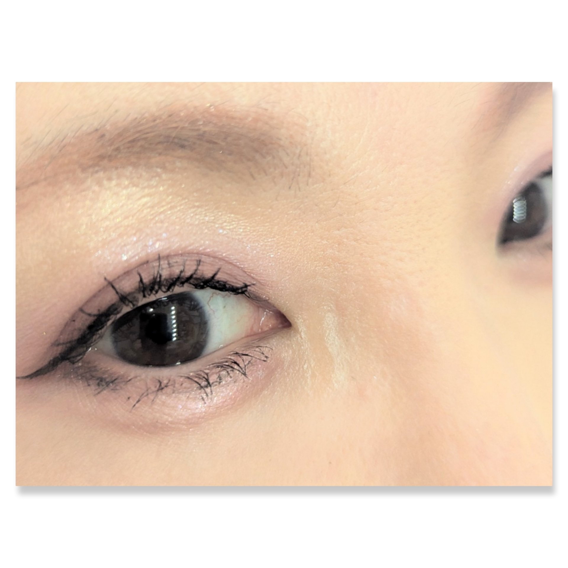 シルキースフレアイズ/キャンメイク/アイシャドウパレットを使ったクチコミ（2枚目）