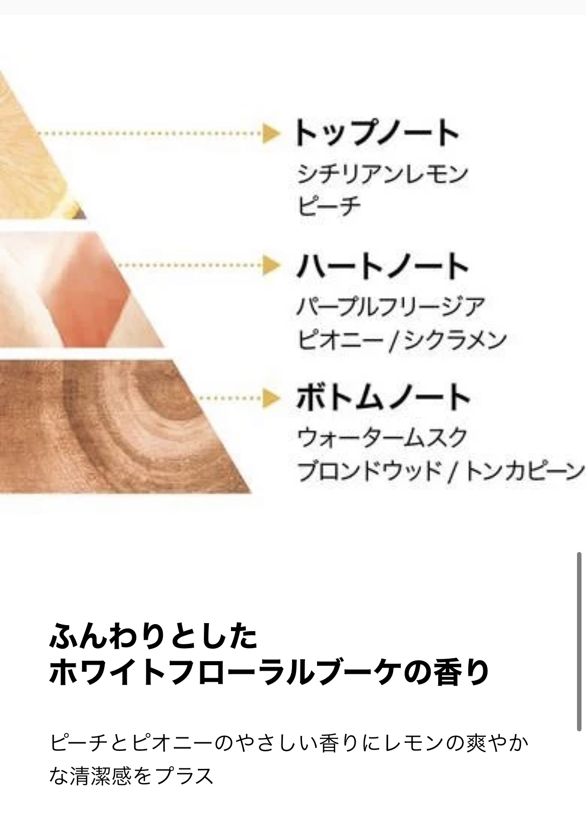 エクストラオーディナリー オイル ヘアマスク/ロレアル パリ/ヘアマスク・ヘアパックを使ったクチコミ（3枚目）