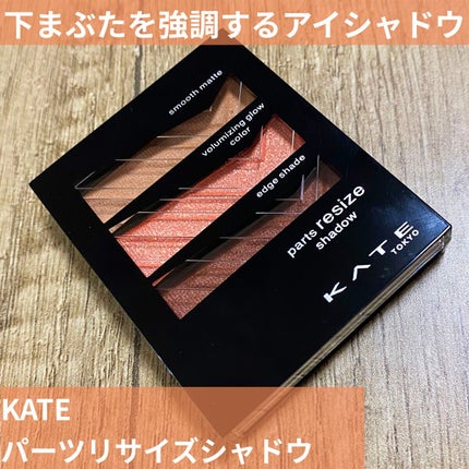 パーツリサイズシャドウ/KATE/アイシャドウパレットを使ったクチコミ(1枚目)