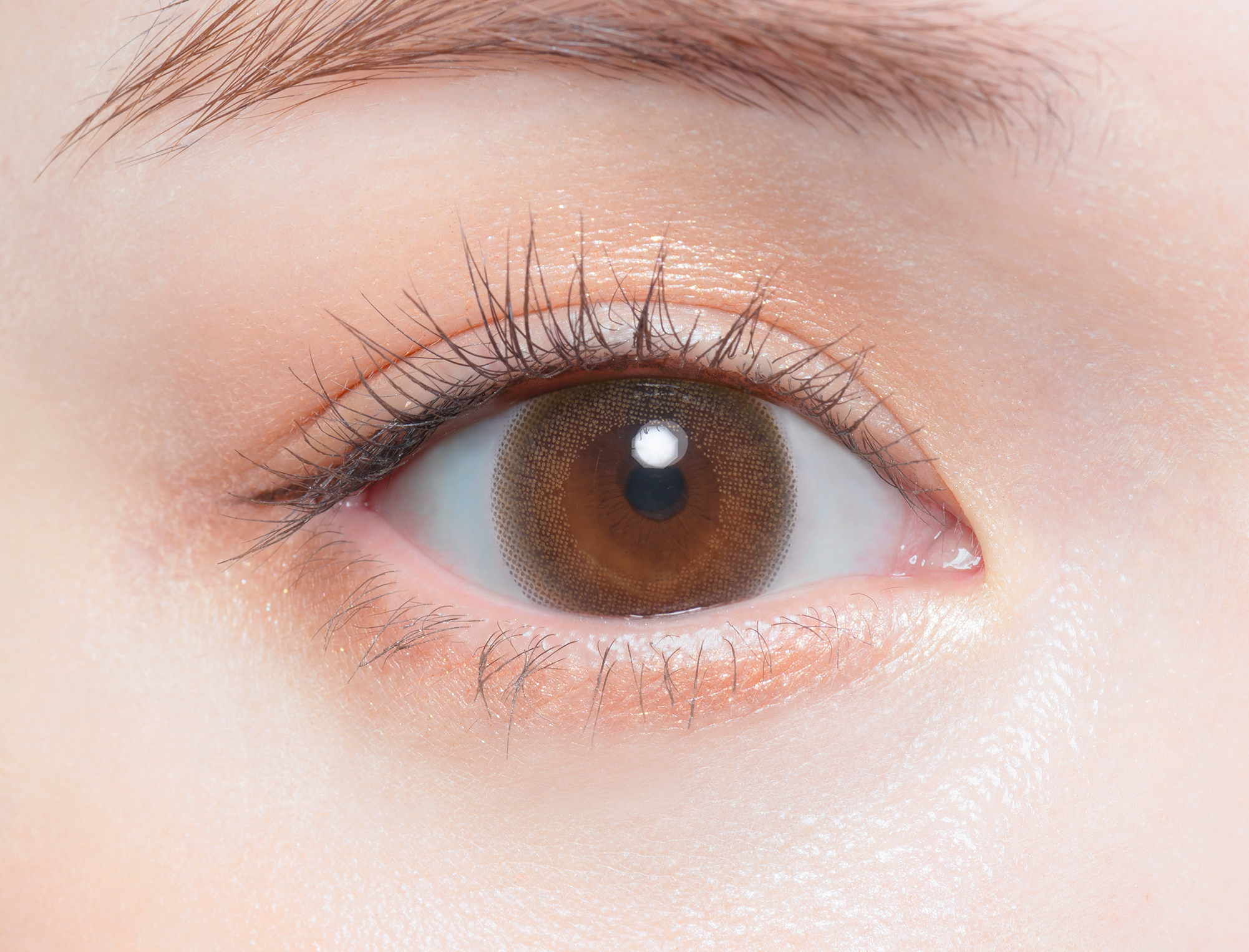 Chu's me monthly シフォンブラウン