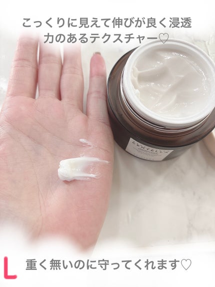 プロバイオシカ エンリッチ クリーム/SKIN1004/フェイスクリームを使ったクチコミ(5枚目)