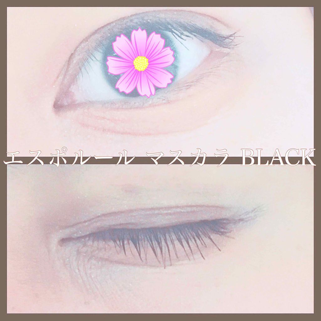 エスポルール カラーマスカラ/エスポルール/マスカラを使ったクチコミ（2枚目）