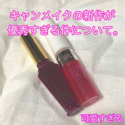 リップティントシロップ/キャンメイク/リップティントを使ったクチコミ(1枚目)