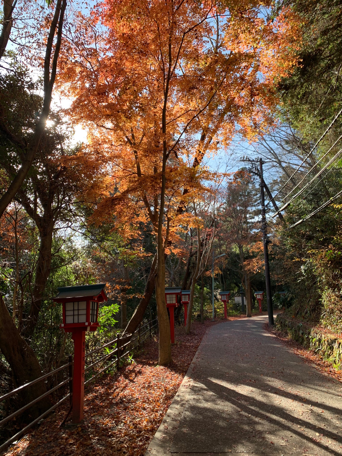 ベリーデリシャス クリームチーク/ETUDE/ジェル・クリームチークを使ったクチコミ(6枚目)