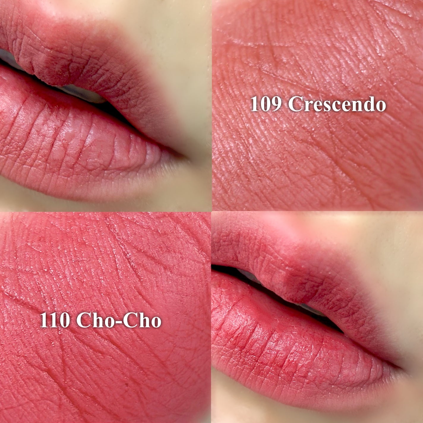 マダムバタフライコレクション ブラーニングリップベール/Dinto/口紅を使ったクチコミ(2枚目)