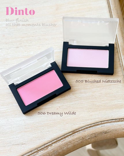 ブラーフィニシュシャドウパレット/Dinto/アイシャドウパレットを使ったクチコミ(5枚目)