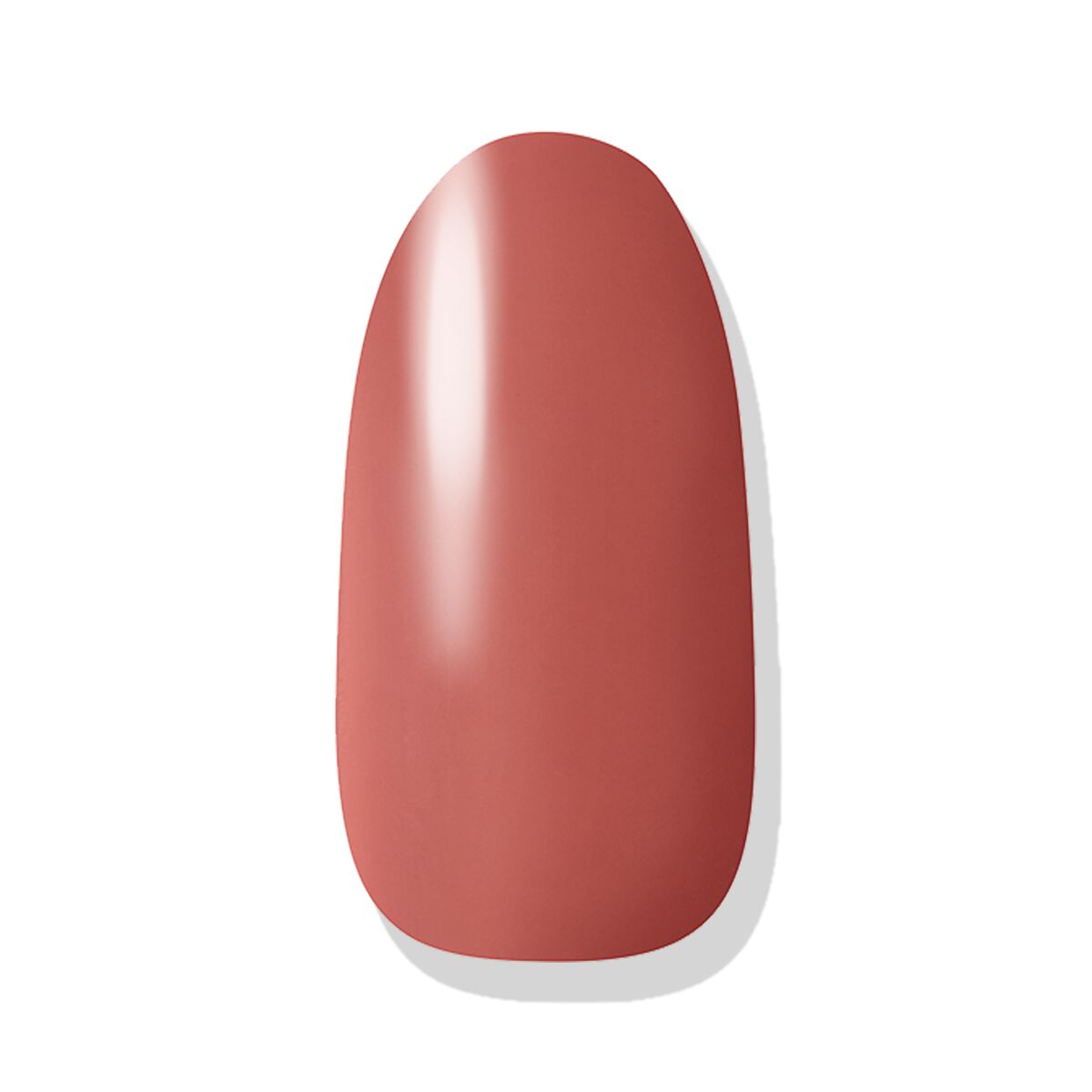 ネイルホリック Ethnic color BR311