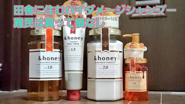 今までhimawariが気に入っていて、ヘアオイルはルシードエルを使っていたんですが新しいものにしたくなって今回はアンドハニーをラインで揃えてみました

今の髪の毛の状態は度重なるブリーチとカラーで毛先