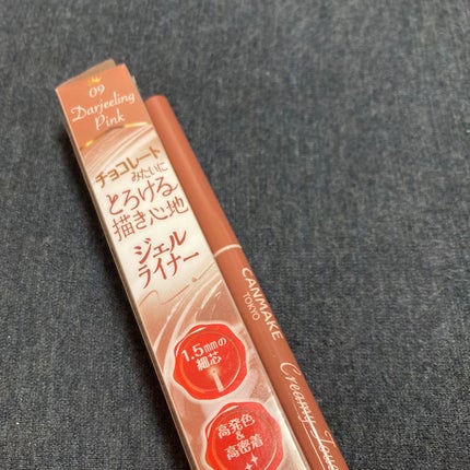 クリーミータッチライナー/キャンメイク/ジェルアイライナーを使ったクチコミ(2枚目)