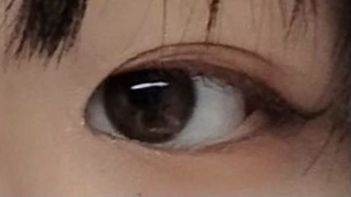 ラッシュ&アイブロウマスカラ/KIREI FACTORY/マスカラを使ったクチコミ（2枚目）