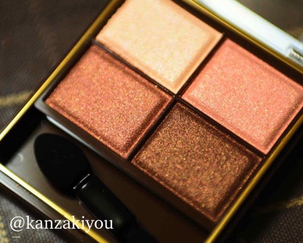 スキニーリッチシャドウ/excel/アイシャドウパレットを使ったクチコミ(2枚目)