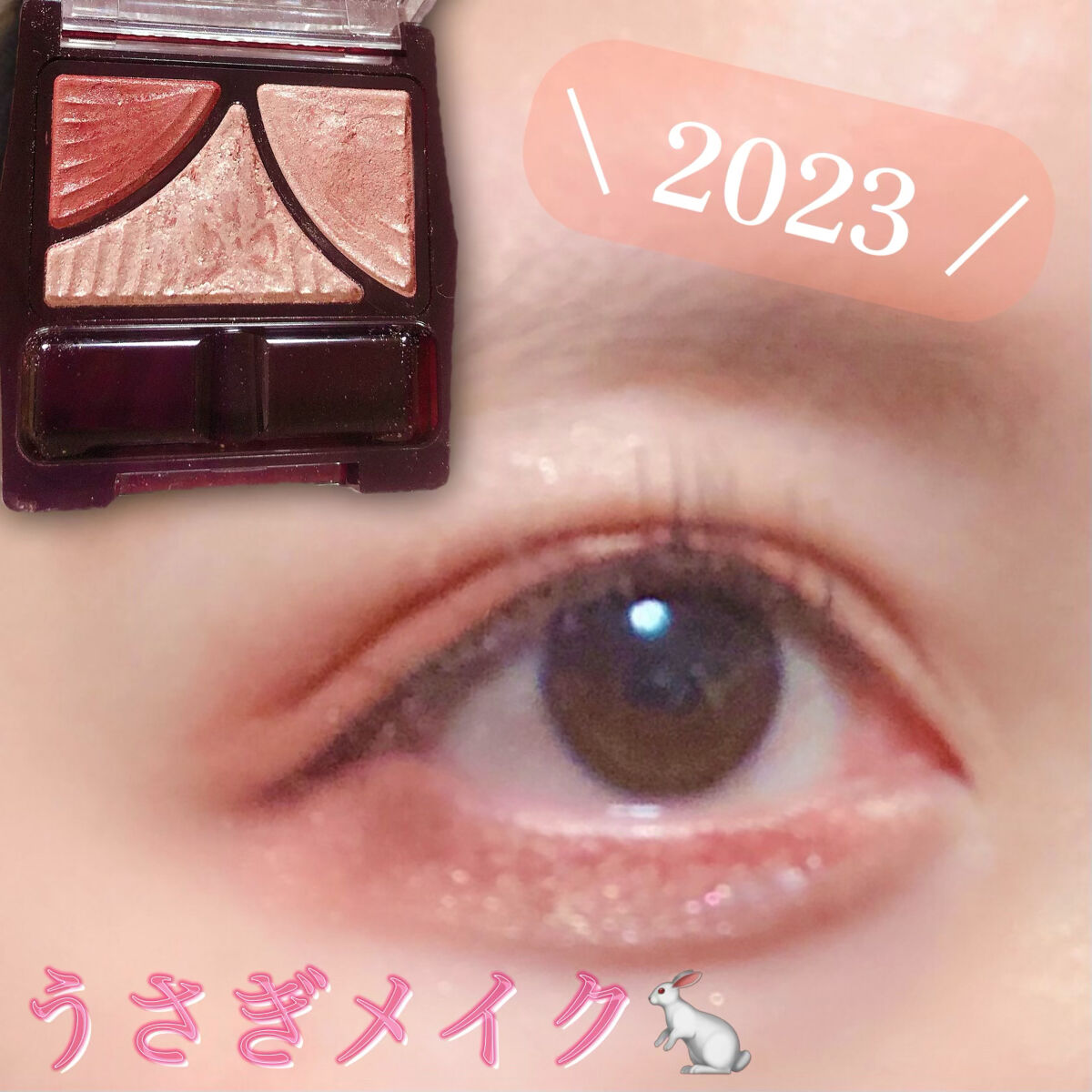 ジューシーピュアアイズ/キャンメイク/アイシャドウパレットを使ったクチコミ（1枚目）