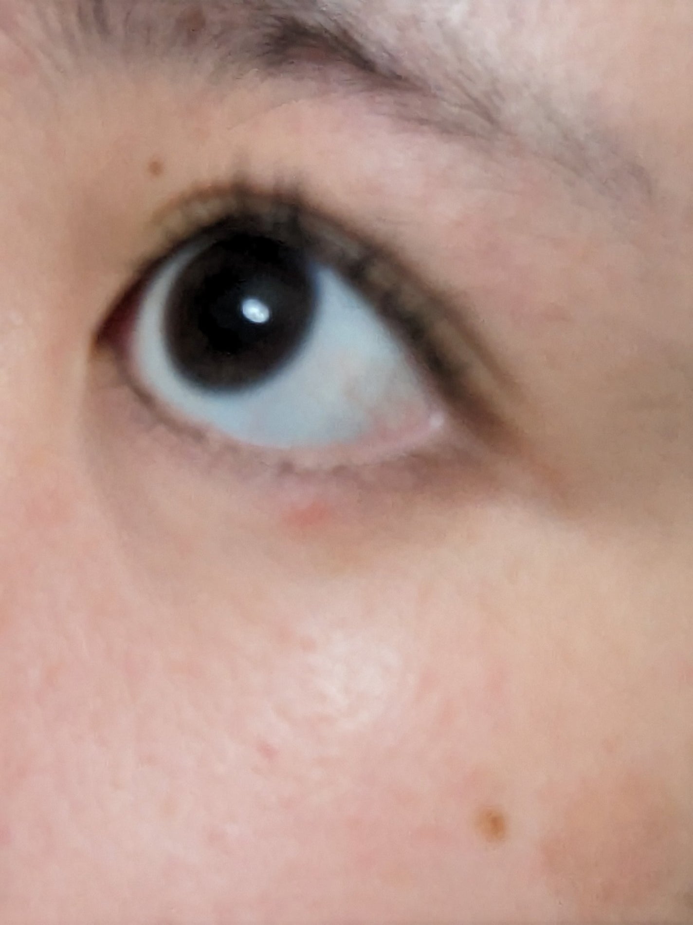 TWOOLダブルアイリッドハイブリットフィルム/SHOBIDO/二重まぶた用アイテムを使ったクチコミ(8枚目)