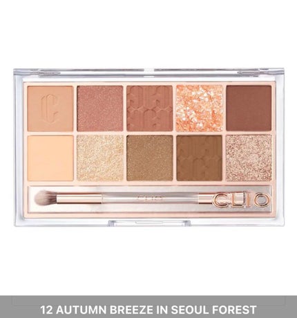 プロ アイ パレット/CLIO/アイシャドウパレットを使ったクチコミ(1枚目)