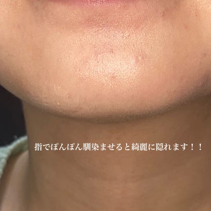 カバーパーフェクション チップコンシーラー/the SAEM/リキッドコンシーラーを使ったクチコミ(4枚目)