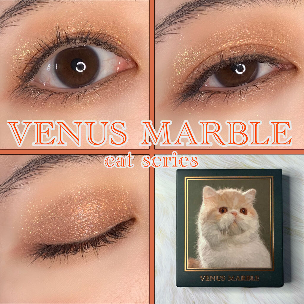 Venus Marble アイシャドウキャットシリーズ/Venus Marble/アイシャドウパレットを使ったクチコミ（1枚目）