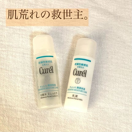 潤浸保湿 フェイスケアセット II しっとり/キュレル/トライアルキットを使ったクチコミ(1枚目)