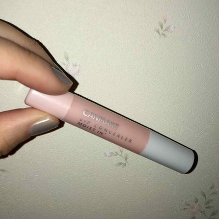 リップコンシーラー モイスト イン/キャンメイク/スティックコンシーラーを使ったクチコミ(1枚目)