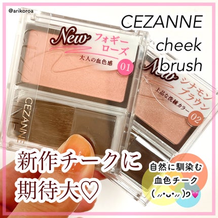 チークブラッシュ/CEZANNE/パウダーチークを使ったクチコミ(1枚目)
