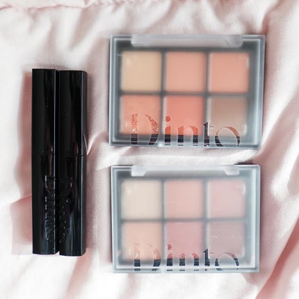 ブラーフィニシュシャドウパレット/Dinto/アイシャドウパレットを使ったクチコミ(1枚目)