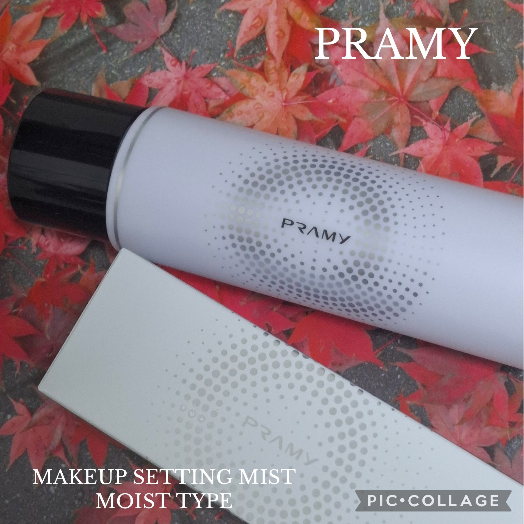 PRAMY メイクアップセッティングミスト モイストタイプ 100ml/PRAMY/フィックスミストを使ったクチコミ（1枚目）