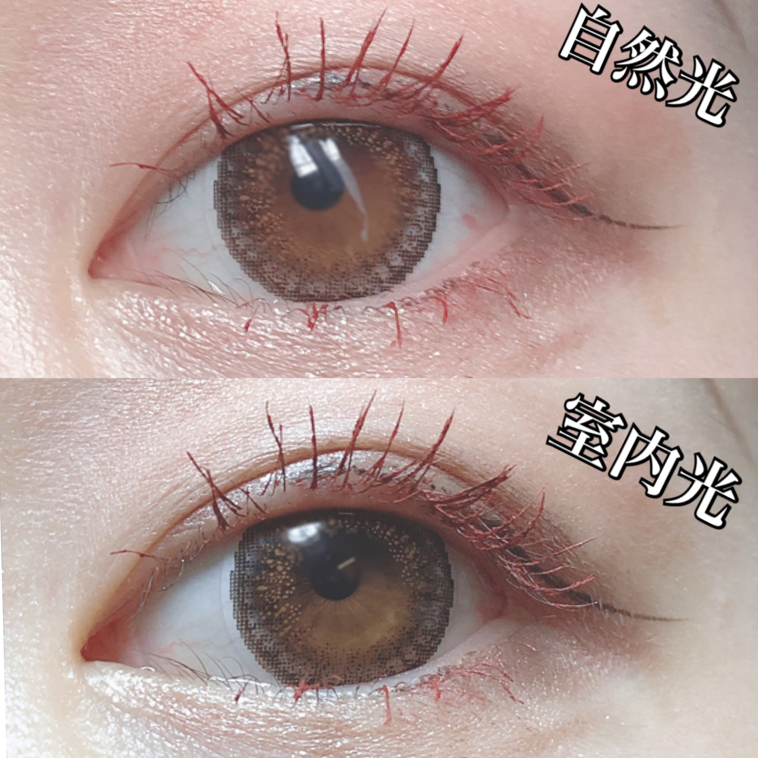 LAYLA./RoseBerry/カラーコンタクトレンズを使ったクチコミ（3枚目）