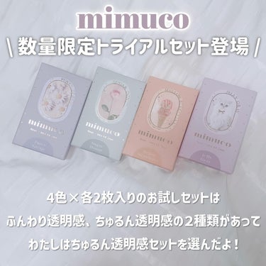 mimuco 1day/mimuco/ワンデー（１DAY）カラコンを使ったクチコミ（2枚目）