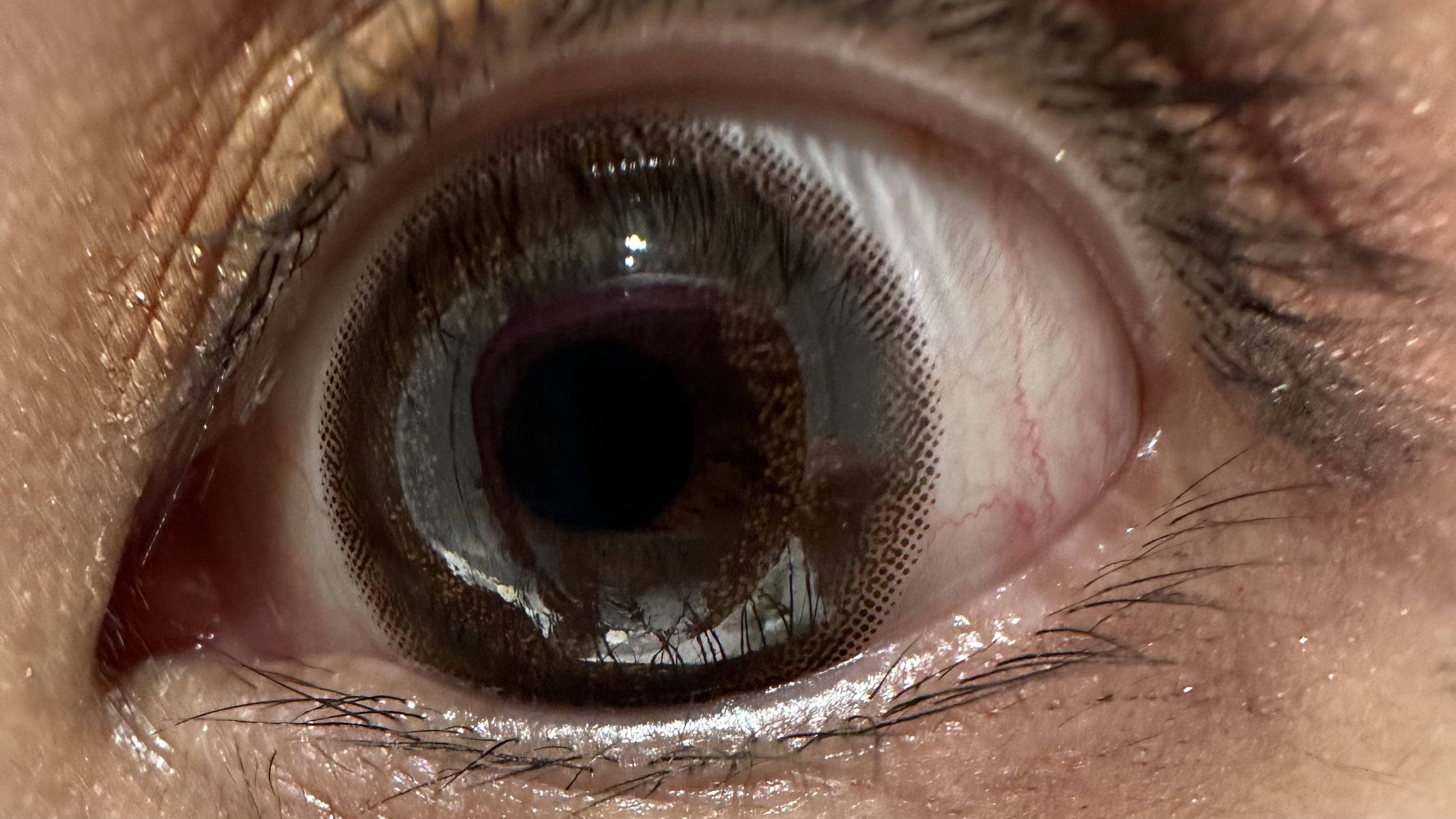 エバーカラーワンデーナチュラル モイストレーベルUV ブラウンマリアージュ/エバーカラー/ワンデー（１DAY）カラコンを使ったクチコミ（3枚目）