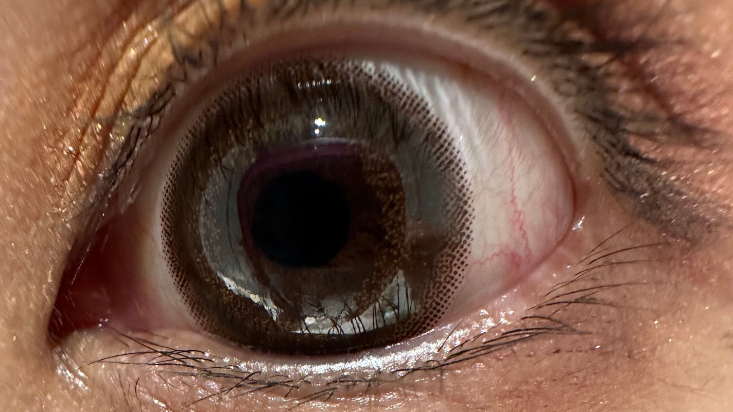 エバーカラーワンデーナチュラル モイストレーベルUV/エバーカラー/ワンデー(1DAY)カラコンを使ったクチコミ(3枚目)