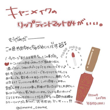 おかめぶぶこ on LIPS 「廃盤リップティント💄今までどうもありがとう！▽キャンメイクリッ..」（1枚目）