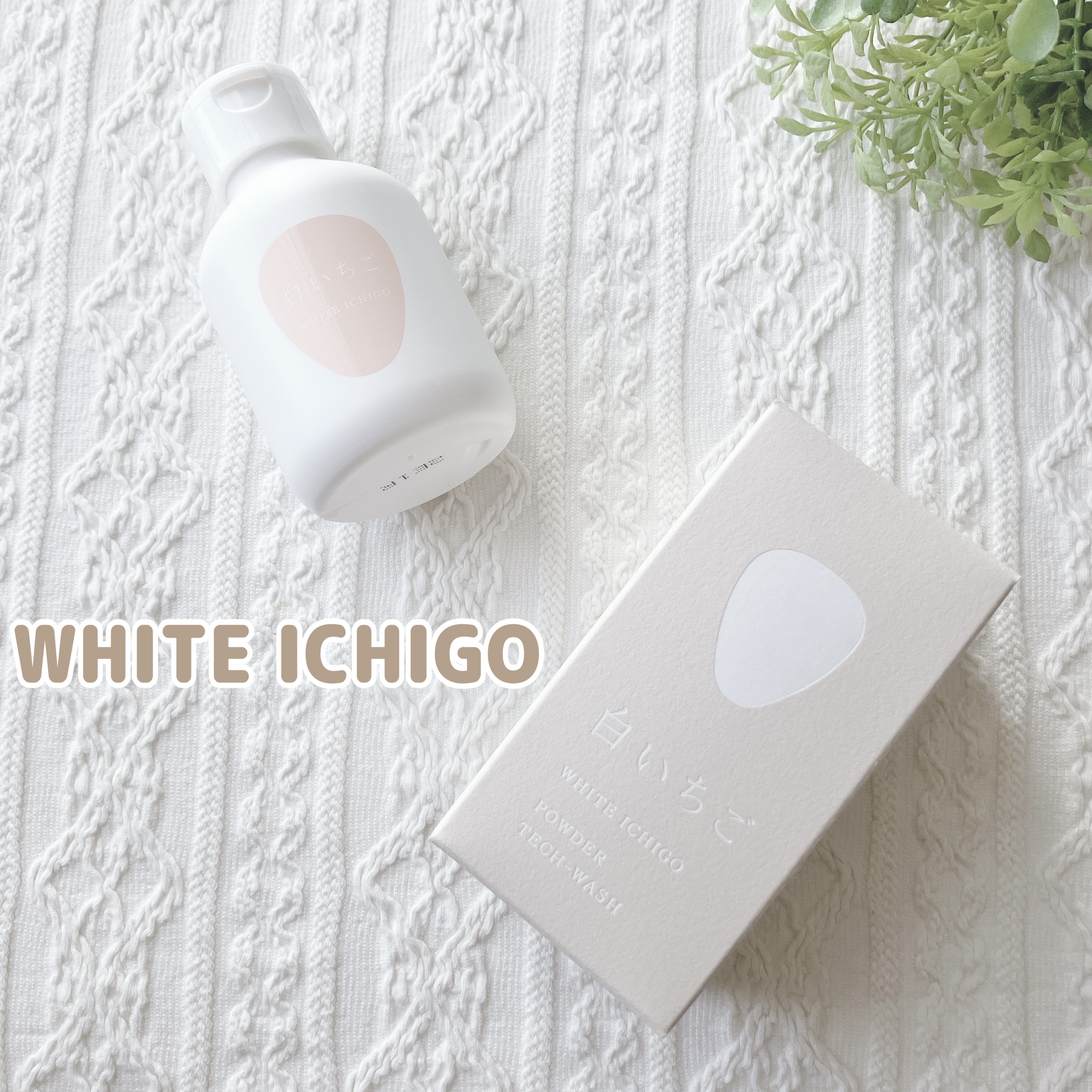 パウダーテック・ウォッシュ/WHITE ICHIGO/洗顔パウダーを使ったクチコミ（1枚目）