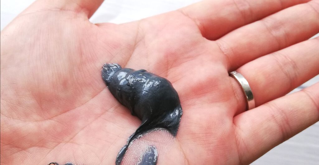 JUSO KURO SOAP/NAKUNA-RE/洗顔フォームを使ったクチコミ（3枚目）