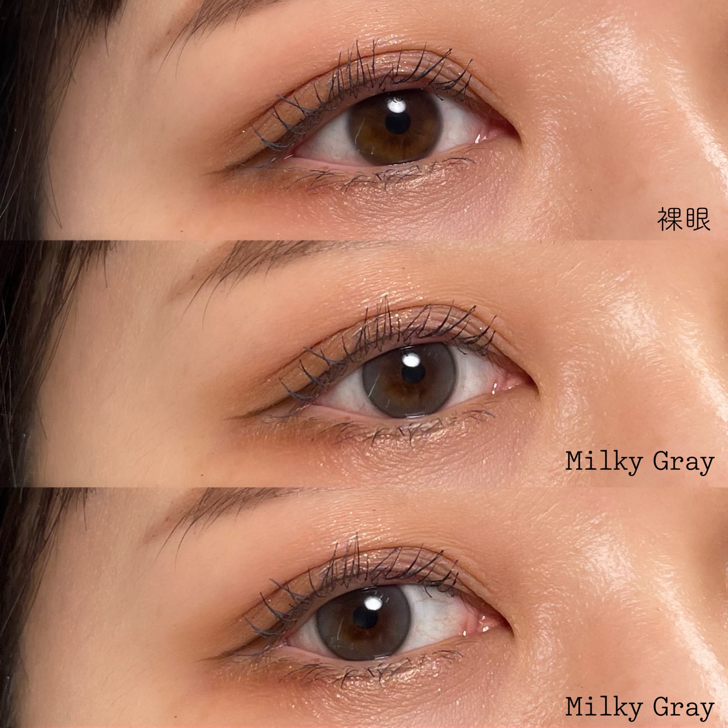 ShineTouch 1day/OLENS/ワンデー(1DAY)カラコンを使ったクチコミ(3枚目)