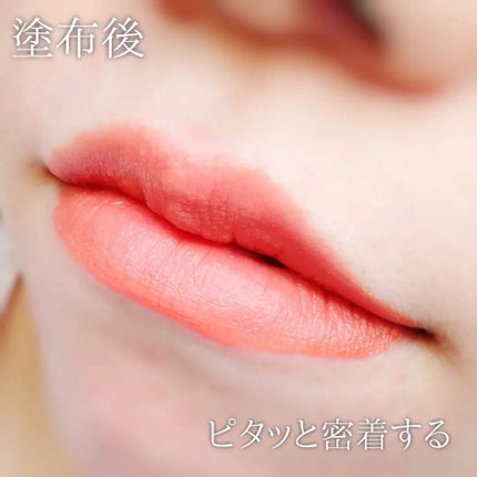 リップトリップベロアパリ 06/ポンヌフ/FAUX PAS PARIS/口紅の画像