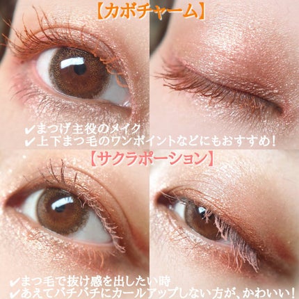 メガ・ステッキ/RICAFROSH/マスカラを使ったクチコミ(6枚目)