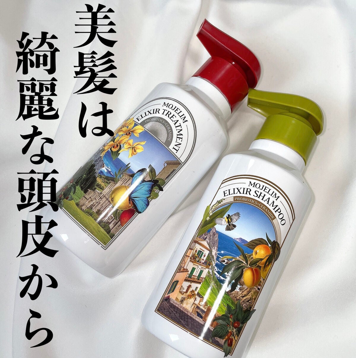 みっちゃんママ on LIPS 「美髪は綺麗な頭皮から✨✨韓国のスカルプケア💆♀️──────..」(1枚目)