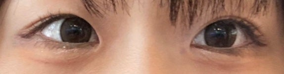 エバーカラーワンデー ナチュラル/エバーカラー/ワンデー(1DAY)カラコンを使ったクチコミ(1枚目)