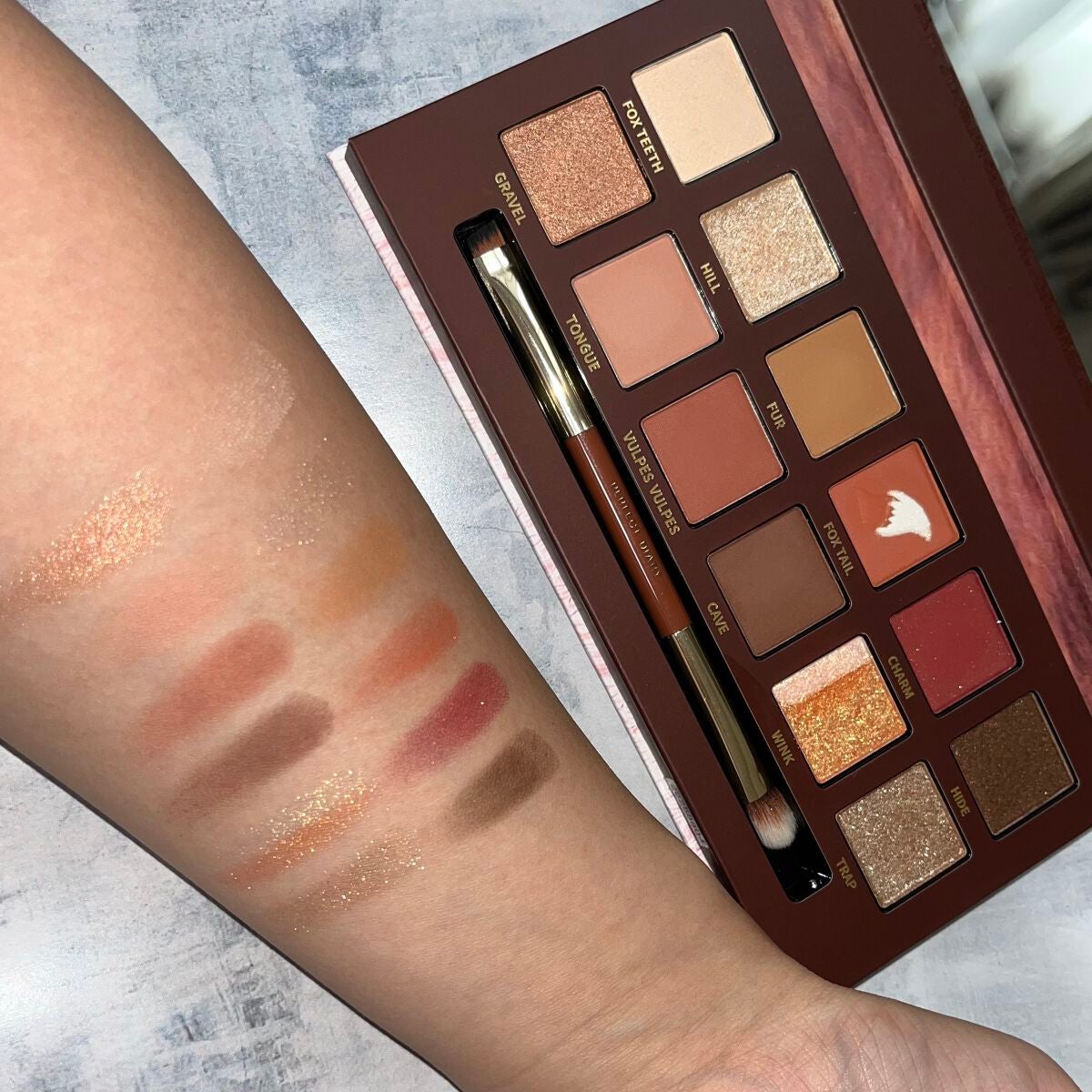 エクスプローラ12色 動物アイシャドウパレット/PERFECT DIARY/アイシャドウパレットを使ったクチコミ(3枚目)