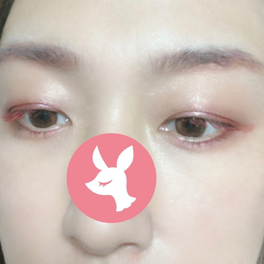 リップペンシル/セルフィット/リップライナーを使ったクチコミ(3枚目)