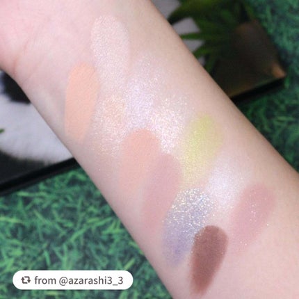 エクスプローラ12色 動物アイシャドウパレット/PERFECT DIARY/アイシャドウパレットを使ったクチコミ(5枚目)