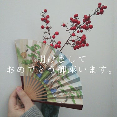 明けましておめでとうございます、yuzuriです！
令和2年…何だか感慨深いですね。
2019年下半期は、私にとってたくさんの出来事があった年でした。LIPSを始め、沢山のフォロワーさんと出会って…。ネ