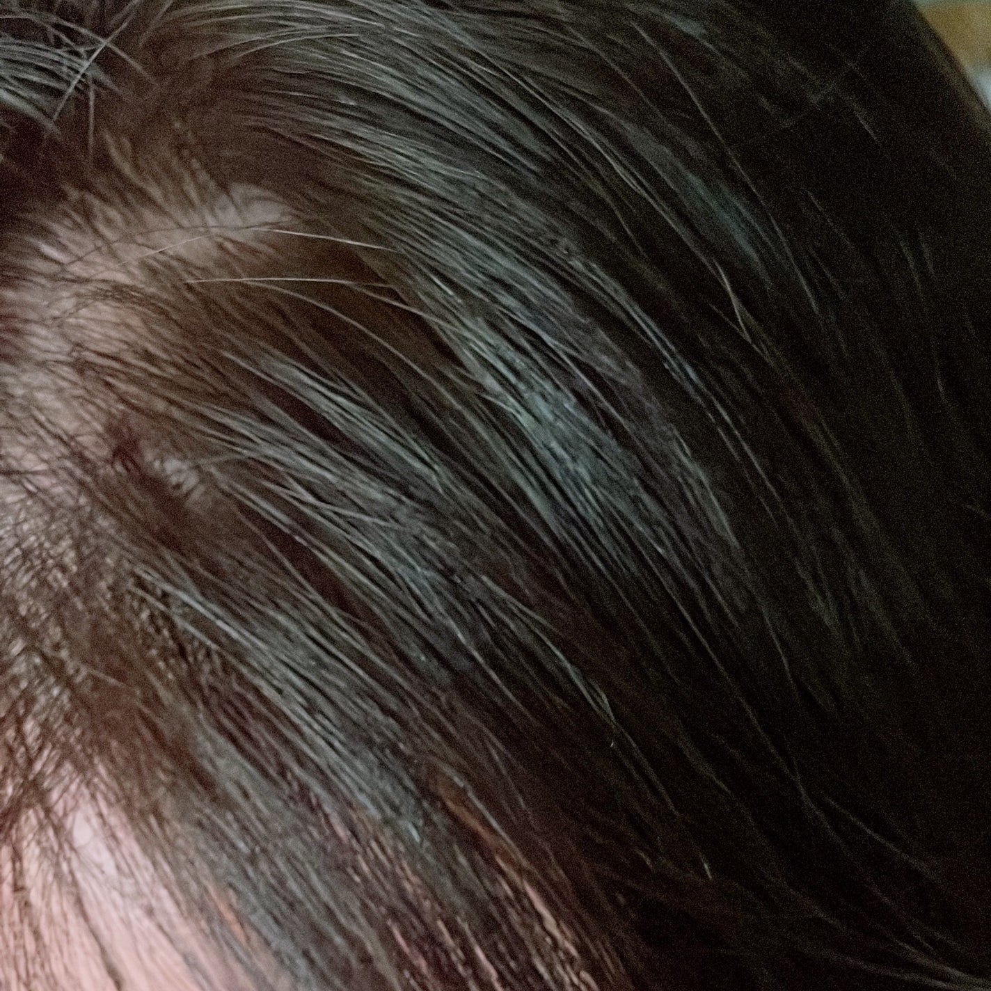 ãšãã»ã³ã·ã£ã« ãã¬ãã¢ã ãŠã©ãŒã¿ãŒããªãŒãã¡ã³ã ããã¥ã©ã«ã¢ã€ã¹ã/ãšãã»ã³ã·ã£ã«/ã¢ãŠããã¹ããªãŒãã¡ã³ãã䜿ã£ãã¯ãã³ãïŒ5æç®ïŒ