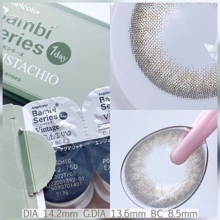 Angelcolor Bambi Series Vintage 1day ヴィンテージオリーブ/AngelColor/ワンデー(1DAY)カラコンの画像