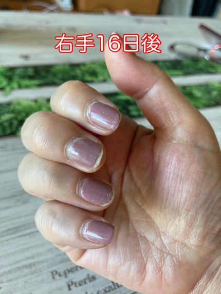 ã©ããðµðð¹ð¿ on LIPS ãã³ã¹ã¡ã§ã¯ãªãã®ã§ããâ¥ãžã§ã«ãã€ã«ã§ã¯ãªãããçŸããå¥åº·ãªçª..ãïŒ4æç®ïŒ