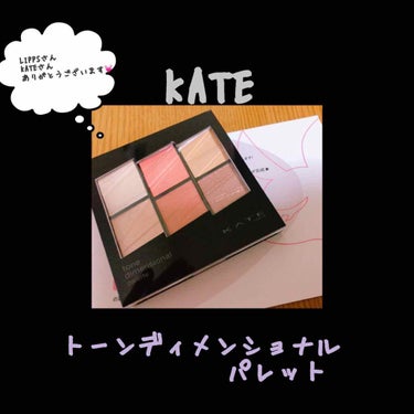 トーンディメンショナルパレット/KATE/メイクアップキットを使ったクチコミ（1枚目）