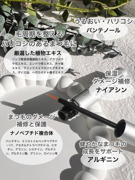 ラッシュアディクト アイラッシュコンディショニングセラム/soaddicted/まつげ美容液を使ったクチコミ(3枚目)