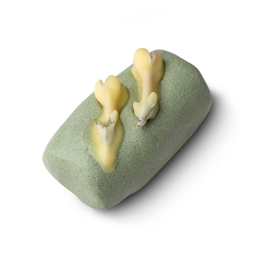 アローカグヤ ラッシュ